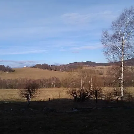 Novohradske Hory - Pronajem Na Samote U Lesa Апартаменты Benesov nad Cernou