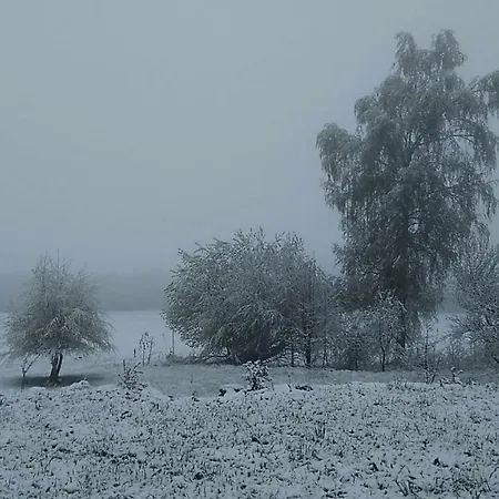 Novohradske Hory - Pronajem Na Samote U Lesa