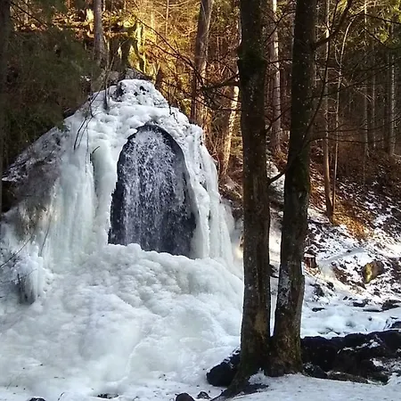 Novohradske Hory - Pronajem Na Samote U Lesa Benesov nad Cernou