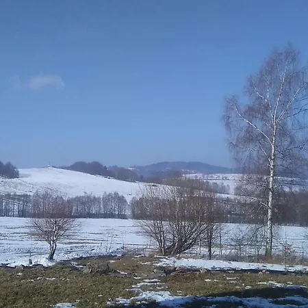 Novohradske Hory - Pronajem Na Samote U Lesa Apartament