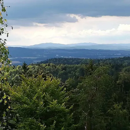 Novohradske Hory - Pronajem Na Samote U Lesa * Benesov nad Cernou