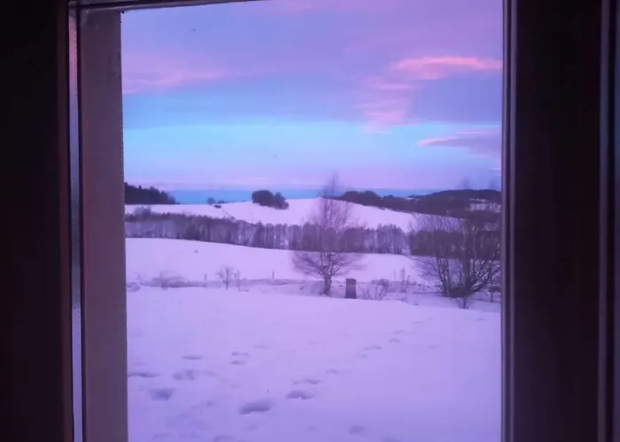 Novohradske Hory - Pronajem Na Samote U Lesa Appartement