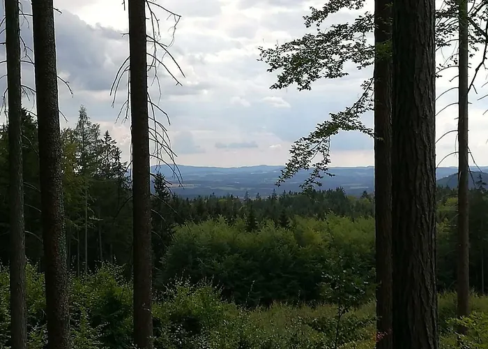 Daire Novohradske Hory - Pronajem Na Samote U Lesa *