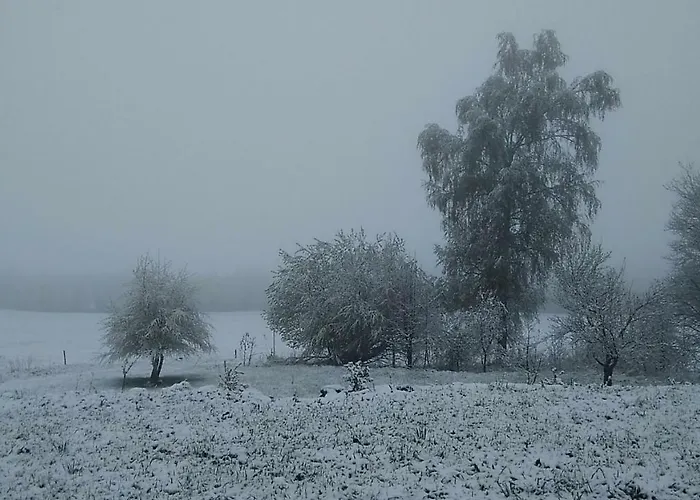 Novohradske Hory - Pronajem Na Samote U Lesa