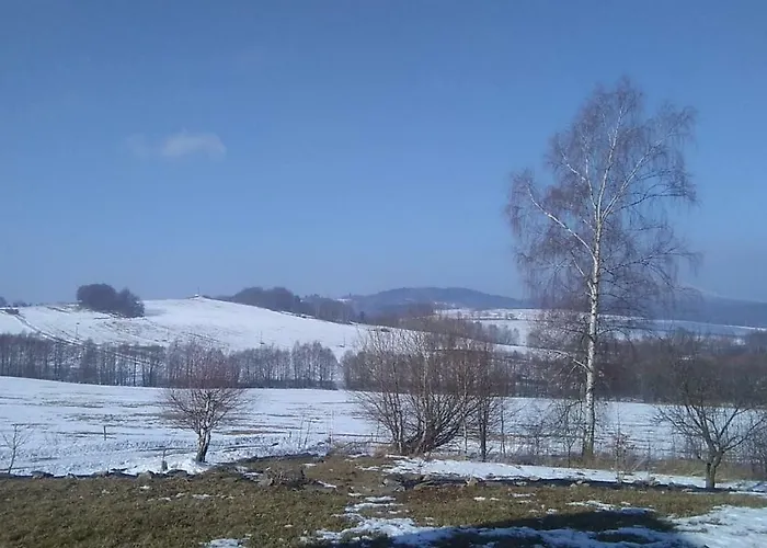 Novohradske Hory - Pronajem Na Samote U Lesa Apartment